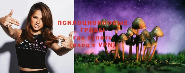 спайс Алзамай