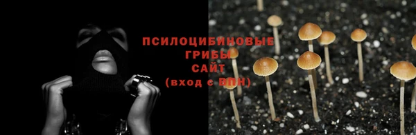 PSILOCYBIN Гусев