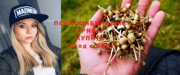 герыч Абинск